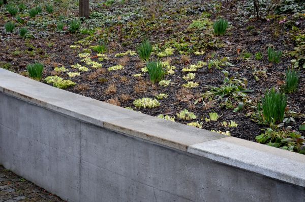 Concrete Wall Construction in Temple