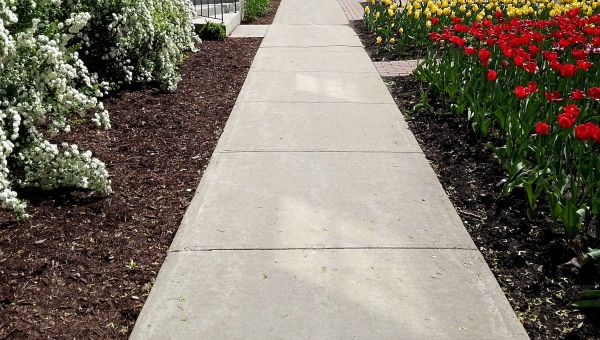 Cement Sidewalk Installation in Temple
