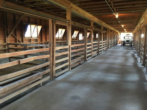 Barn Slab Construction in Temple
