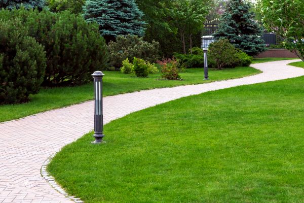 Backyard Sidewalk Installation in Temple